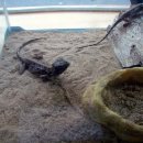 작은 동물원 이미지