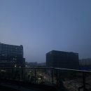 참바른한방병원 | 심부내막증 회복일지(7) : 한방병원 7일차｜드디어 평범한 식사가 가능해졌다