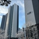 이문11 이미지