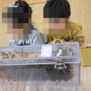 성남초등병설유치원 이미지