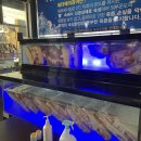 생생통삼겹 이미지