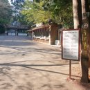초연중학교 | 백양산 등산(부산어린이대공원→백양산→초연중학교)