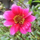 복음농장 이미지