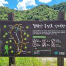 응석사주차장 이미지