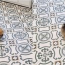 천안강아지분양 우리집퍼피 천안아산본점 (하이도그) | 천안강아지분양 우리집퍼피 천안아산본점 하이도그에서 건강한 반려견을 맞이할 예비 견주가 꼭 살펴야...