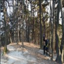 삼각산(울산)(416m) 이미지
