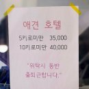 해피테일 티스토리