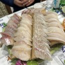 재반로186 | 1월 1주 - 꽤 보람차게 논 한주