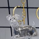 만두네살롱 이미지