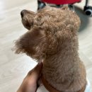 뽑기방GO | 25.10.둘째주(연휴2,방탈출 퇴근길,인형뽑기,말차막걸리,페스티벌 더서브)