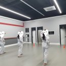 청강태권도장 이미지