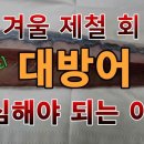 대방어에 비밀 몸속에 기생충 이미지