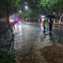 곡성-184 이미지