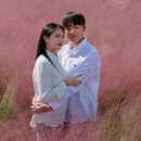 뮬리Muhly