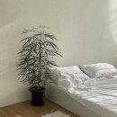 전원말안1길 3-3 이미지