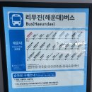 양운고등학교 | 부산 김해공항 리무진 해운대 버스 시간표 노선, 소요시간, 예약방법 및 탑승 후기