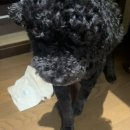 메종더갤러리