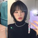 라브리지헤어 이미지