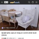 아이마니 코리아 | [모유수유 내돈내산템]아이마니핸즈프리유축기,캠프밸리수유의자,메델라유축기대여