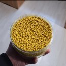 진도울금 이미지