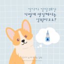 더클래스동물메디컬센터 이미지