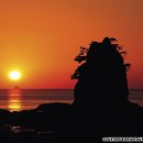 공항치과의원 이미지