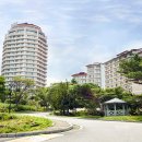 현대수콘도미니엄당구장 이미지