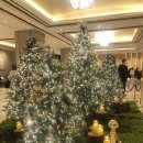 영자클럽 부평점 | (1박2일여행) 부산 롯데호텔 솔직후기.