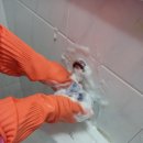 엠디타운 이미지