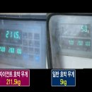 호박스포츠 이미지