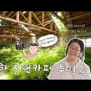 [ 현 PD의 불쑥가드닝 5화 ] 앤트러사이트 제주 갔다가 깜~짝 놀랐수다! 이미지