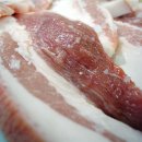 꼬독꼬독 이미지