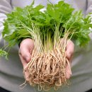 신진2농장 이미지