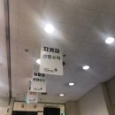지버스티비주 이미지