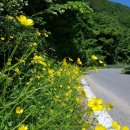 하옥산장펜션 이미지