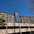 (주)이랜드파크켄싱턴리조트충주 | 충주 여행 가성비 가족 숙소_켄싱턴리조트 충주 애견동반리숙소 숙박후기