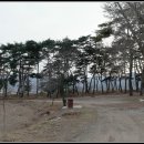 현내리 도원정사 | 포항의 정자, 도원정사(桃源精舍)