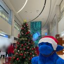 문토스트 기장점 | [부산] 부산 기장, 송정 가볼만한 곳 롯데프리미엄...부산점, 아난티 해안 산책로, 문토스트 내돈내산 후기