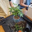 구미대로-32 이미지