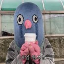 똘비