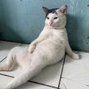 동작 국사봉2길 | 9월 뭔데~~