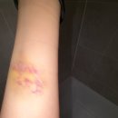 대동성인게임랜드 | 잘하지 못해서 자라나고 있습니다