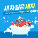 샤인랩디테일링