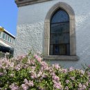 강릉오뎅강릉빙수 | 2박3일 강릉여행 3일차: 강릉소품샵투어, 오버웨잇, 만동제과오픈런, 장칼국수, 강릉길감자