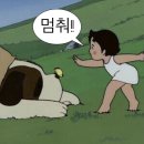 마우이보일링크랩