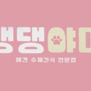 야미스토어 이미지