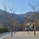 마령 큰시내들 캠핑장 이미지