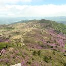 벽계관광지 통나무집 이미지