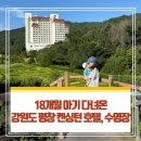 비엔나인형박물관 | 18개월 아기랑 다녀온 강원도 평창 켄싱턴 호텔, 수영장(+비엔나 인형 박물관)