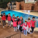 한국체대 비전태권도 이미지